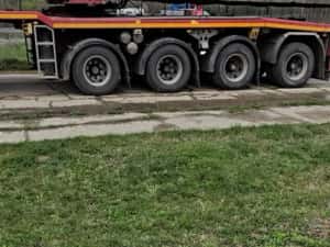 Ciobănesc belgian malinois — miniatura 9