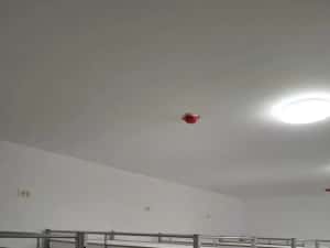 Cazare muncitori Voluntari, acces facil Centura si zona de Nord — miniatura 6