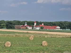 Proprietar- Teren lână Mănăstire si Pădure