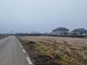 Proprietar- Teren lână Mănăstire si Pădure — miniatura 4