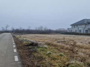 Proprietar- Teren lână Mănăstire si Pădure — miniatura 5