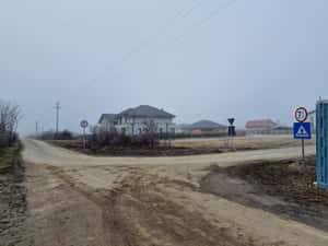 Proprietar- Teren lână Mănăstire si Pădure — miniatura 6