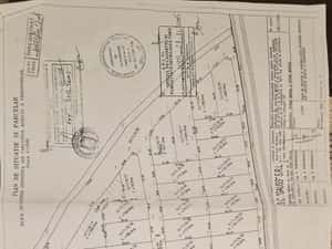 Proprietar- Teren lână Mănăstire si Pădure — miniatura 8