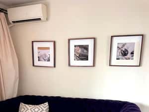 Inchiriere apartament 3 camere zona Interservisan Gheorgheni — miniatura 4