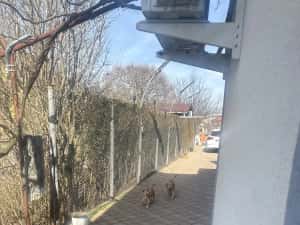 Opel astra an 2012 inmatriculat 2 litri disel cutie automata — miniatura 6