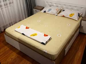 De inchiriat garsoniera in zona Medicinei