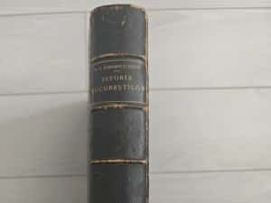 Istoria Bucurescilor/ Bucurestilor, Ionescu Gion, 1899, Raritate