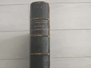 Istoria Bucurescilor/ Bucurestilor, Ionescu Gion, 1899, Raritate — miniatura 9