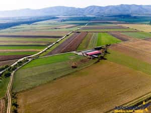 FILM! 18.000 mp, extravilan, agricol+ constructii:ferma,investitii agricole, Rotbav, Brasov — miniatura 6