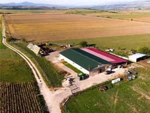 FILM! 18.000 mp, extravilan, agricol+ constructii:ferma,investitii agricole, Rotbav, Brasov — miniatura 7