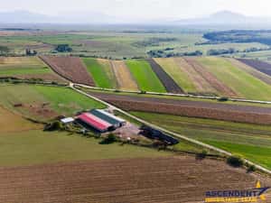FILM! 18.000 mp, extravilan, agricol+ constructii:ferma,investitii agricole, Rotbav, Brasov — miniatura 8