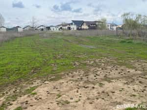 Loturi Comuna Berceni Zona Mamina(450mp) utili - Acte la zii ! — miniatura 4