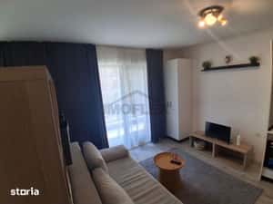 Studio - Pipera - H Lake — miniatura 4