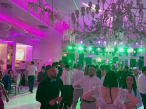Dj Nunta,Dj Botez,Dj Evenimente Private sau Corporate,Sonorizare,Dj-Mc — miniatura 8