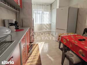 Apartament cu 2 camere, de inchiriat, zona Aradului, Timisoara — miniatura 6
