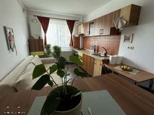 Inchiriez studio Str. Frunzei, Turnisor — miniatura 2