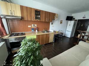 Inchiriez studio Str. Frunzei, Turnisor — miniatura 3