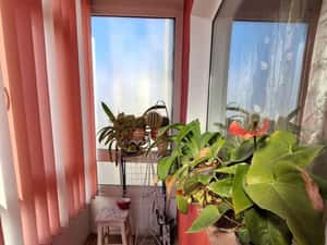 Apartament 2 camere, 54 mp, Bd. Republicii — miniatura 4