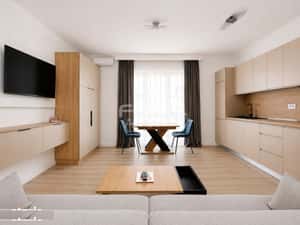 Apartament modern 2 camere de inchiriat in Sanmartin — miniatura 3