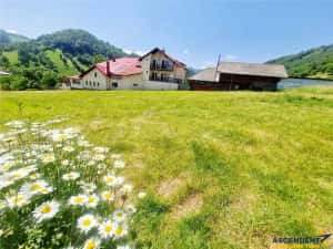 FILM! 1.450 mp intravilan, la DN, incantare peisagistica, Bran, Moieciu, Brasov — miniatura 2