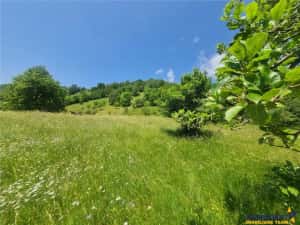 FILM! 1.450 mp intravilan, la DN, incantare peisagistica, Bran, Moieciu, Brasov — miniatura 9