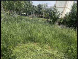 Tund iarba/defrisari terenuri,toaletare copaci,intervenție urgente,curățarea pavaj acoperis — miniatura 2