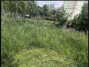 Tund iarba/defrisari terenuri,toaletare copaci,intervenție urgente,curățarea pavaj acoperis — miniatura 5