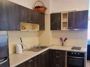 Apartament 2 camere spre vanzare Sagului — miniatura 5
