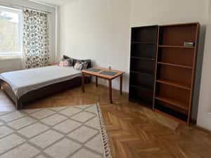 Apartament modern cu o camera , zona Horea , etajul 1 , 30 mp — miniatura 4