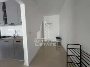 Apartament cu 2 camere, 2 locuri de parcare, etajul 1, in Dumbravita — miniatura 4