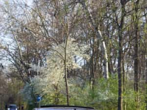 Vând BMW Seria 5 — miniatura 5