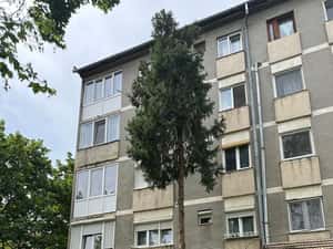 Vand apartament cu 2 camere cartier Nufarul 1 — miniatura 4