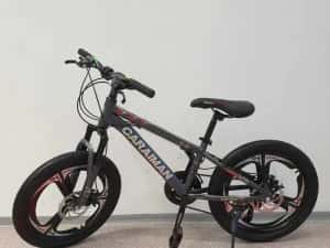 Bicicleta 20 inch din otel, pentru copii intre 6 si 12 ani, 20T — miniatura 10