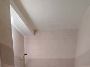 Costin Georgian prima inchiriere. — miniatura 4