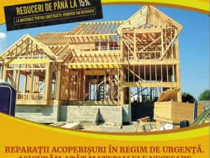 Meserias acoperisurii ~ Dulgherie ~ Terase ~ Vopsire — miniatura 3