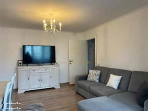 Apartament 2 camere Bilascu