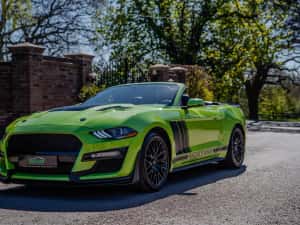 Ford Mustang EcoBoost 2.3 — miniatura 9