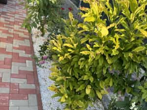 Calcar,granit,marmura,piatra decorativa,nisip,piatra ,amestec,pamant — miniatura 9