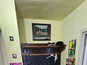 Vanzare 2 camere, Tractorul, zona 13 Decembrie - O. Goga — miniatura 4