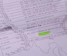 Padure 5000 m patrati stejar com Banesti Ph — miniatura 1