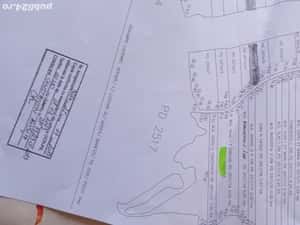 Padure 5000 m patrati stejar com Banesti Ph — miniatura 2