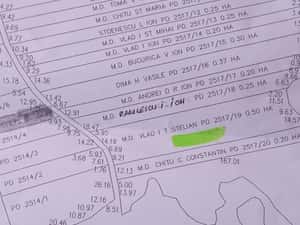 Padure 5000 m patrati stejar com Banesti Ph — miniatura 7