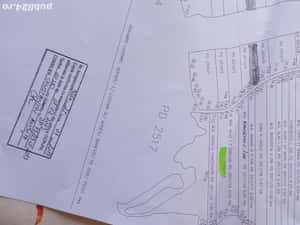 Padure 5000 m patrati stejar com Banesti Ph — miniatura 8