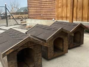 ‼️Cușcă căsuță câine talie Mica/Medie/Mare. — miniatura 7