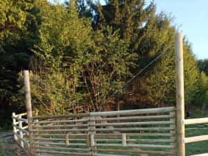 Porti rustice din lemn calibrat — miniatura 4