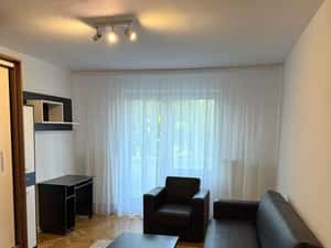 Tudor - Inchiriere apartament 2 camere - Str. Muncii — miniatura 4