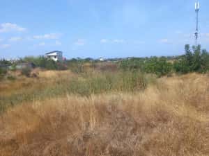 Teren cartier Brosteni-Buzau — miniatura 1