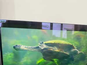 MacBook Air M4 15-inch/ 256 Gb / Silver / Cod produs: 9KG0