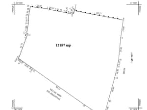 VAND GARSONIERA — miniatura 6