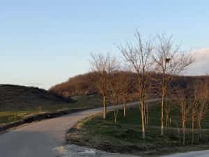 Teren intravilan Hidiselu de Sus — miniatura 7